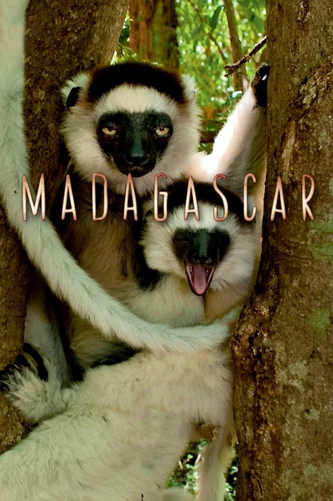 Madagascar 2011 | Madagascar (2011) Madagascar 2011 | Madagascar (2011)