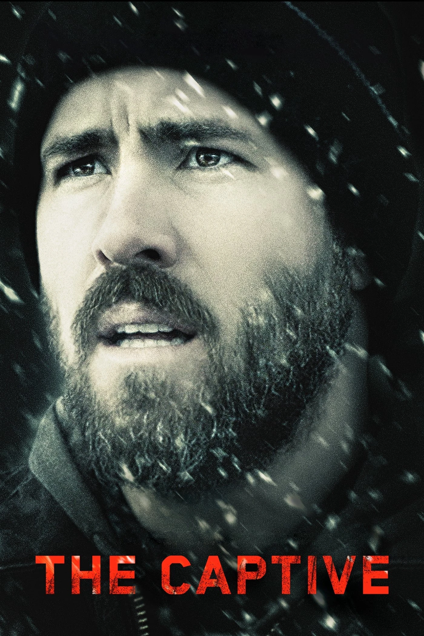 The Captive | The Captive (2014) The Captive | The Captive (2014)