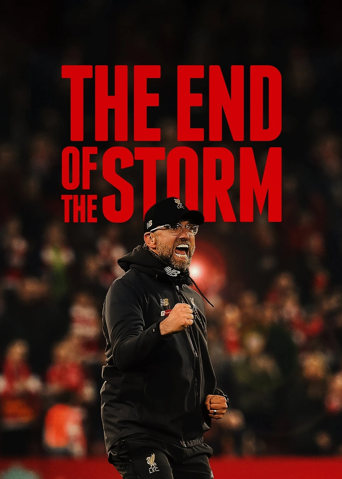 The End of the Storm | The End of the Storm (2020) The End of the Storm | The End of the Storm (2020)