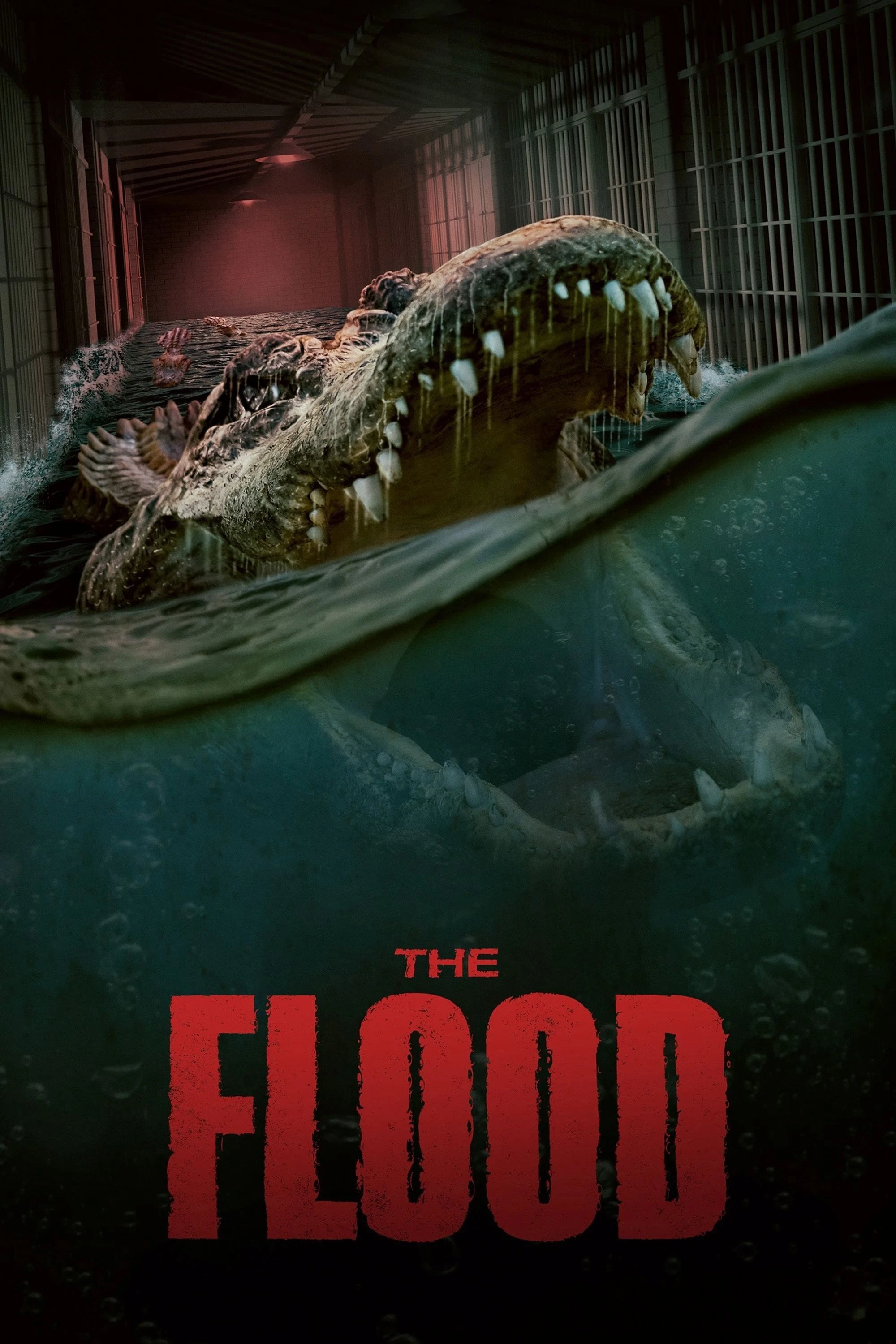 The Flood | The Flood (2023) The Flood | The Flood (2023)