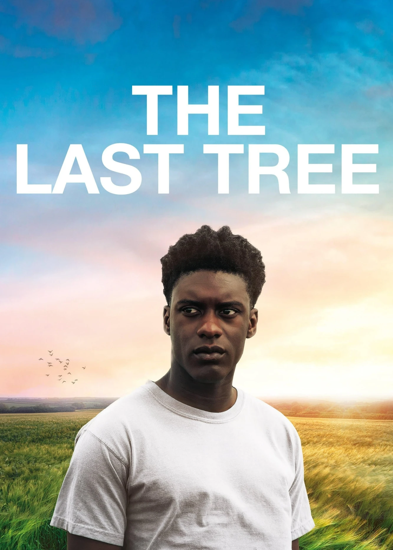 The Last Tree | The Last Tree (2019) The Last Tree | The Last Tree (2019)