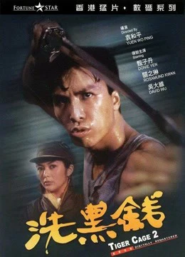 Tiger Cage II | Tiger Cage II (1990) Tiger Cage II | Tiger Cage II (1990)