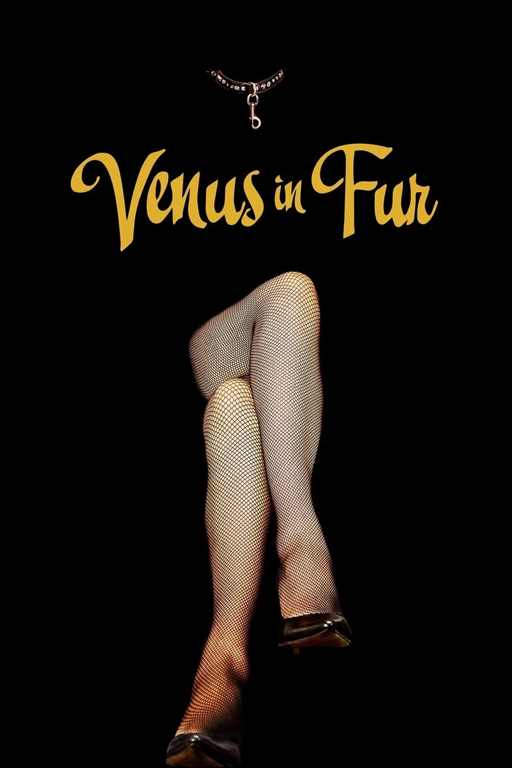 Vệ nữ áo lông | Venus in Fur (La Vénus à la fourrure) (2013) Vệ nữ áo lông | Venus in Fur (La Vénus à la fourrure) (2013)